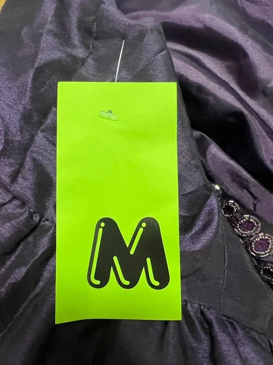 NWOT- CHARLOTTE RUSSE /PLUM PURPLE Embellished Party Dress - Picture 9 of 9